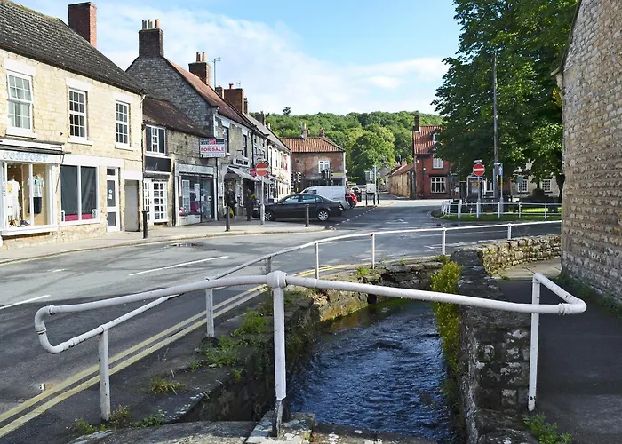 Cherry Laurel * Thornton Dale